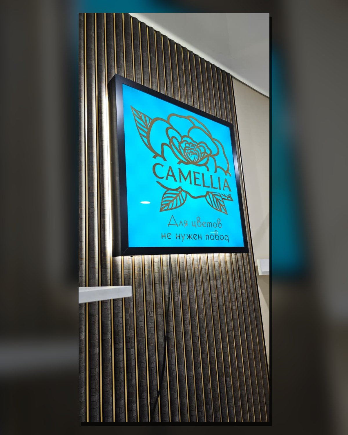 CAMELLIA — работа Master Reklam